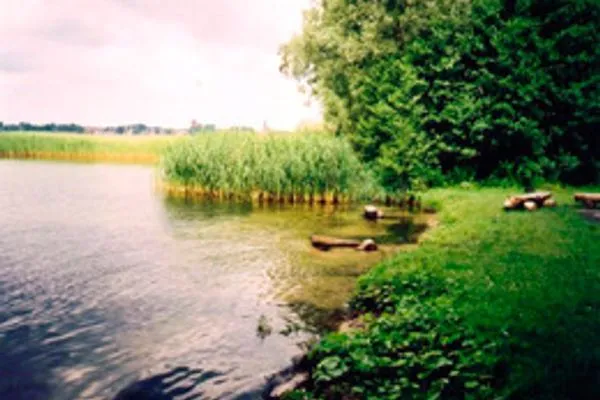   Ferienhaus in Waren Müritz