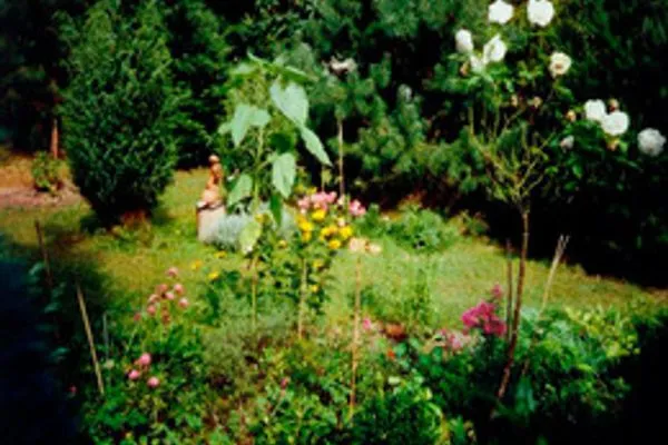   Ferienhaus in Waren Müritz