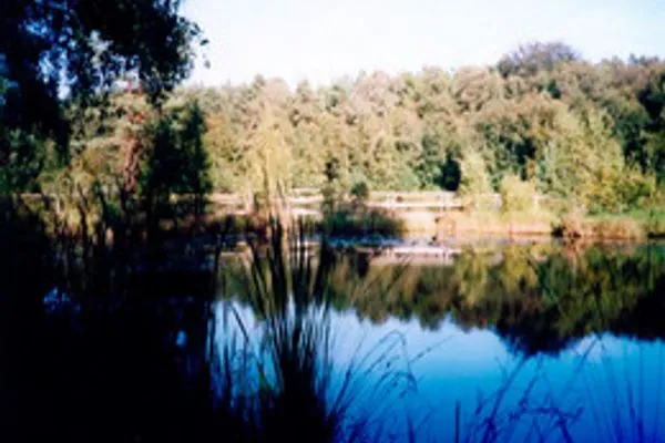   Ferienhaus in Waren Müritz