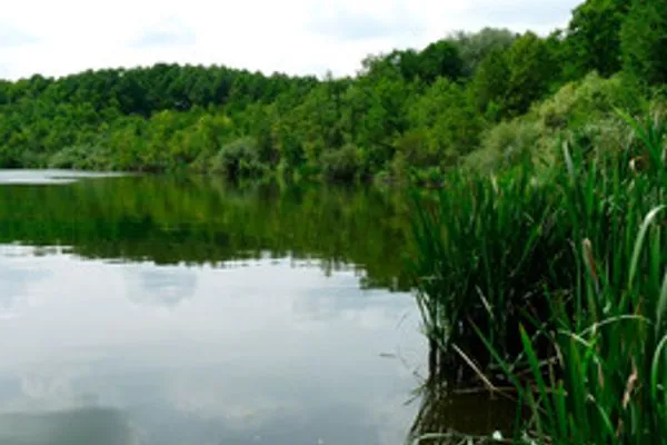   Ferienwohnung in Röbel Müritz