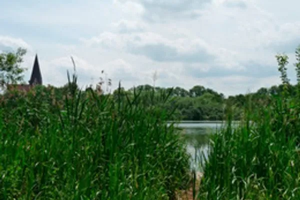   Ferienwohnung in Röbel Müritz