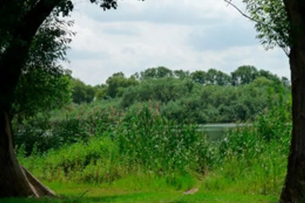   Ferienwohnung in Röbel Müritz