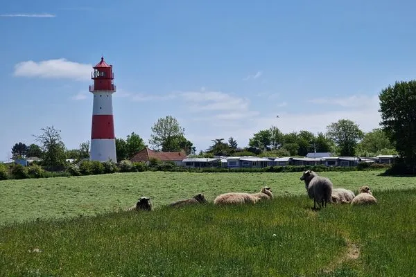   Ferienwohnung Steuerbord