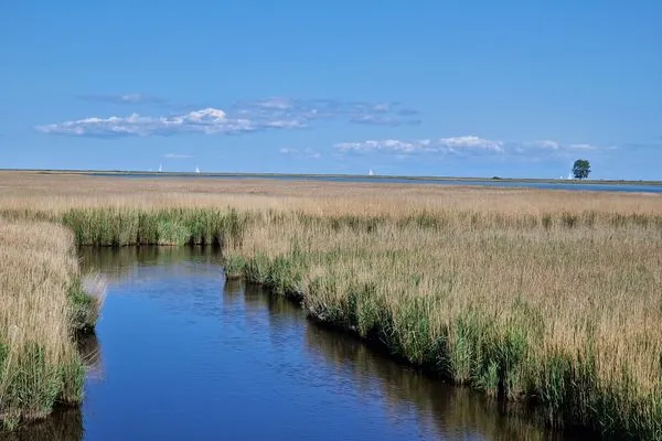   Ferienwohnung Steuerbord