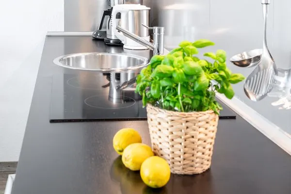 Küche / Küchenzeile  Dünengras