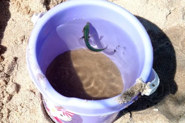   Ferienhaushälfte Insel Rügen