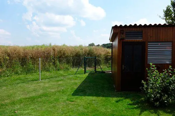   Ferienhaus Mecklenburgische Seenplatte