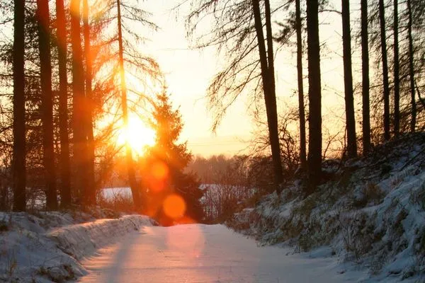   Ferienhaus Krakower See