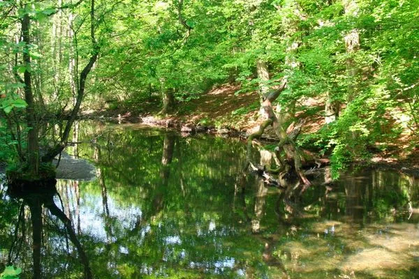   Ferienhaus Krakower See