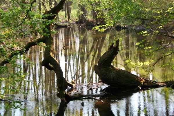   Ferienhaus Krakower See