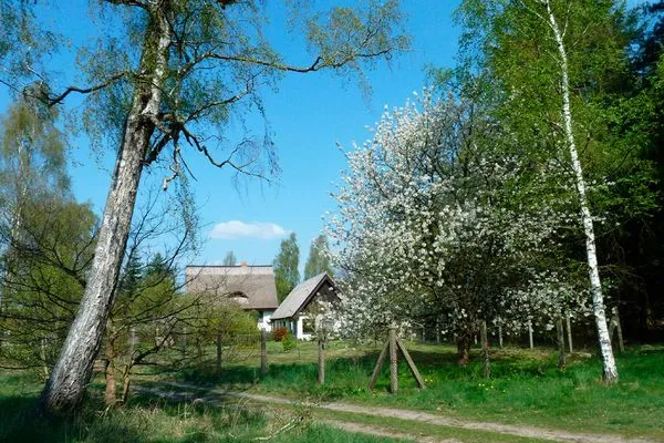   Ferienhaus Mecklenburgische Seenplatte