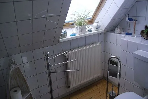   Ferienhaus Mecklenburgische Seenplatte