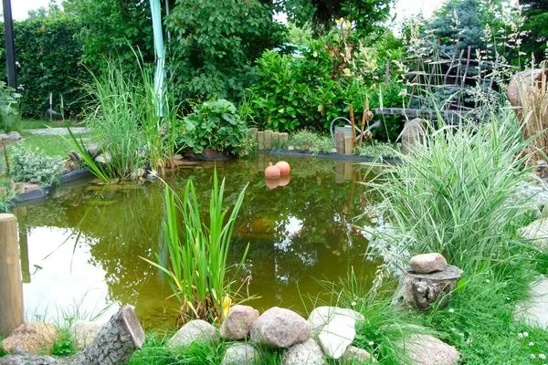   Ferienhaus Mecklenburgische Seenplatte