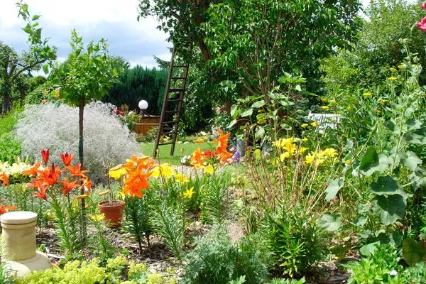   Ferienhaus Mecklenburgische Seenplatte