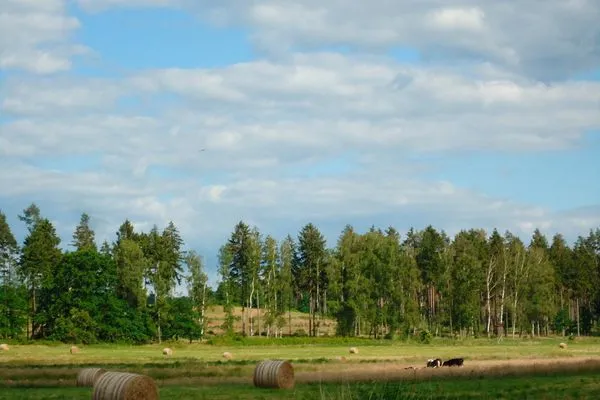   Ferienhaus nahe Malchower See