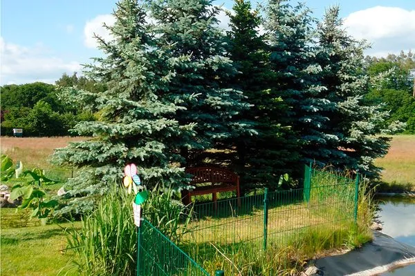   Ferienhaus nahe Malchower See