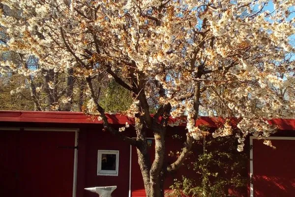   Ferienhaus Petersdorfer See