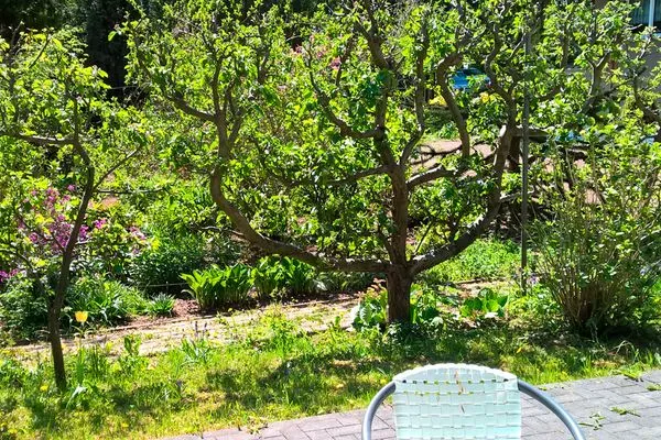   Ferienhaushälfte Insel Rügen