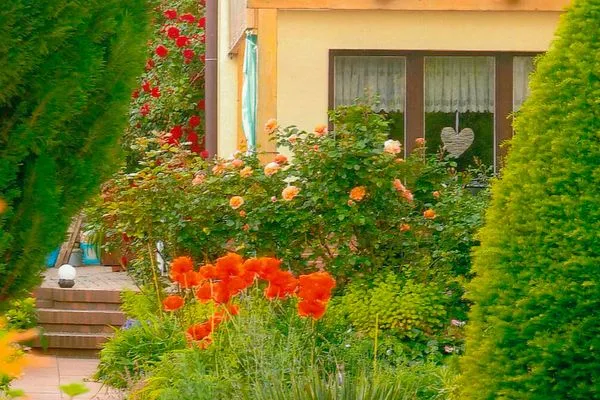   Ferienwohnung am Malchower See