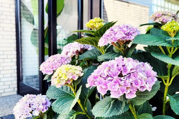 Willkommen im Landhaus Haffkrug von Momentic  Hochwertige Ferienwohnung in ruhiger Lage mit eigener Terrasse, nur 7 Gehminuten zum Strand entfernt