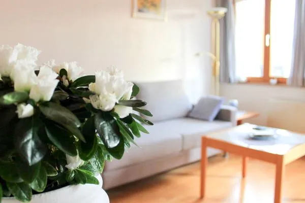 Ferienhaus Kuprella Ferienwohnung Kuprella 1 Nonnenhorn - 