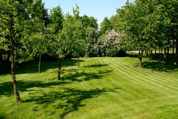   Ferienwohnung Alte Gutsbrennerei
