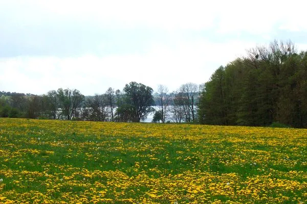   Ferienwohnung Alte Gutsbrennerei