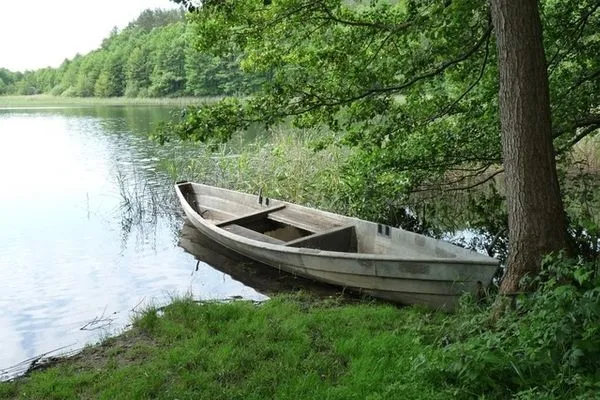   Ferienwohnung direkt am See