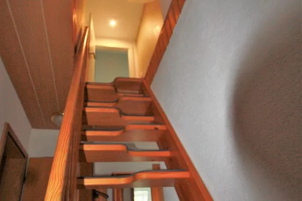 Empfang  Nis Puk - FW Hooge