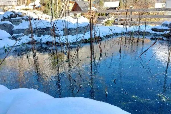 Landschaft  Apartment Bühemirla by FiS - Fun in Styria