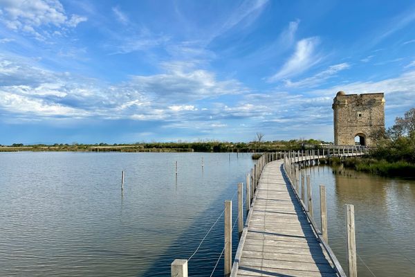  Ferienwohnung La Camargue Saint-Laurant-d`Agouze - 