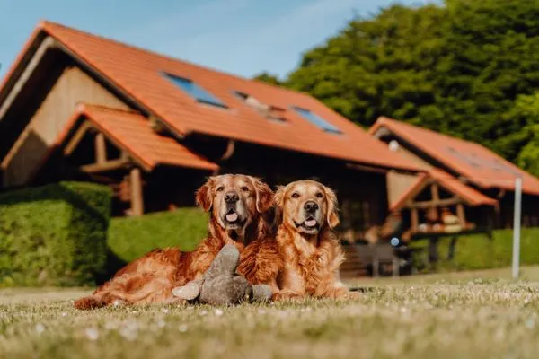 Garten  Blockhaus Leif Eriksson - 2. Reihe Meerblick