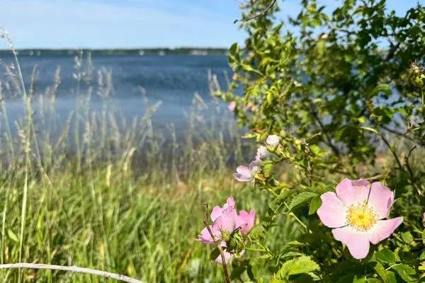 Die Halbinsel Holnis an der Flensburger Förde (Ostsee)  Lille Hus