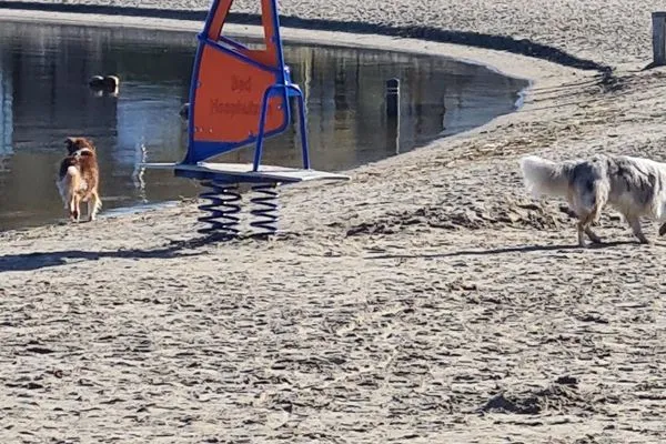  Bad Hoophuizen Chalet Villa MiaMari Nr. Zuiderzee 12