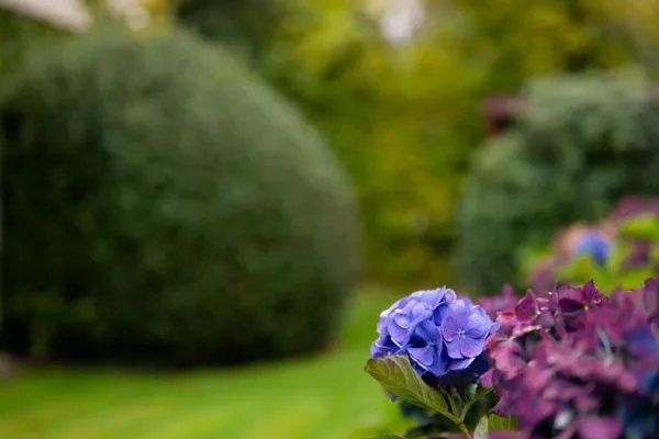   Ferienhaus Deich Huus