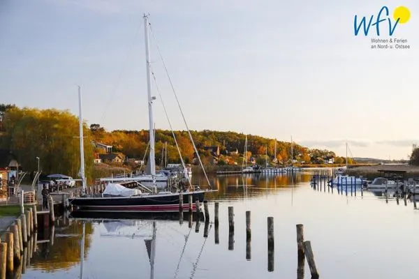 Der Hafen von Seedorf Ferienappartements Am Neuensiener See Ferienwohnung 7