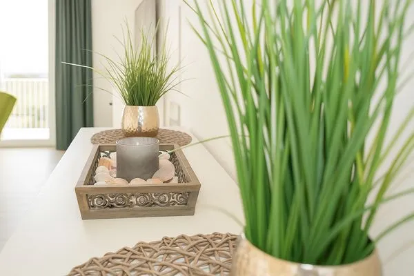 Wohnzimmer mit Pflanzen und Dekoration  Weitblick