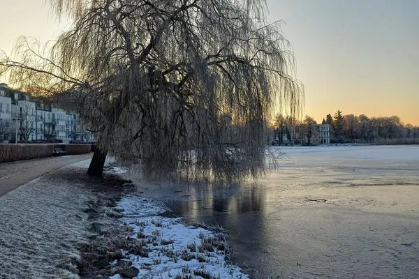 Landschaft  Schloonseevillen, Whg. 10
