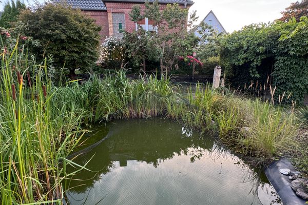  Haus Shaanti Zingst - 