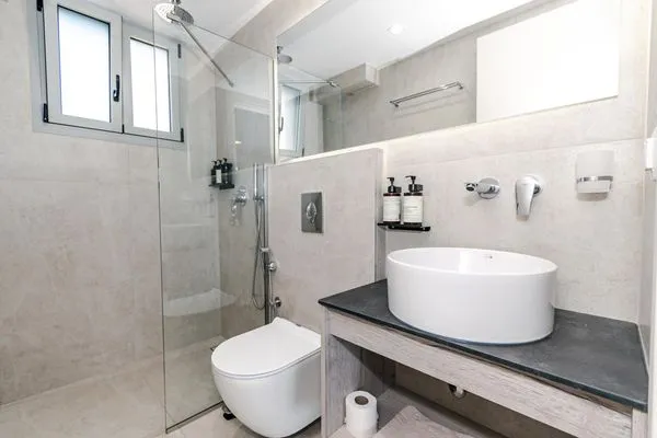 Bathroom  Helichrysum Lofts Junior House J1