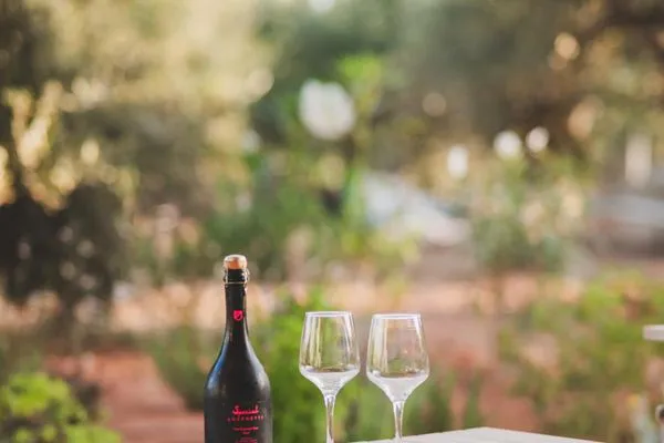 Terrace  Helichrysum Lofts Junior House J3