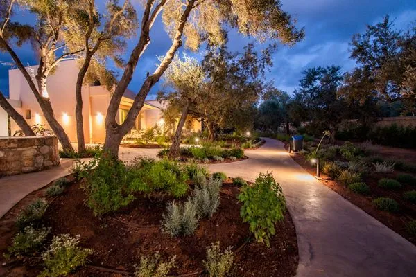 Garden  Helichrysum Lofts Junior House J4