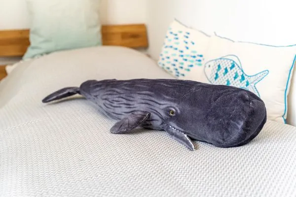 Schlafzimmer  Backbord