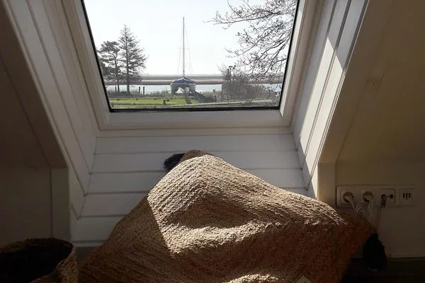 Wohnzimmer  Deichhus