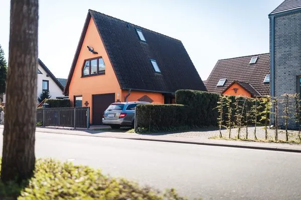 Hauptansicht  kleiner Sanddorn