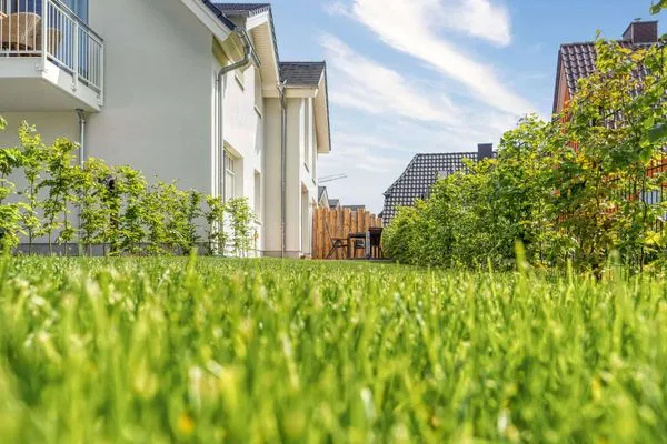 Terrasse  Leevkebloom