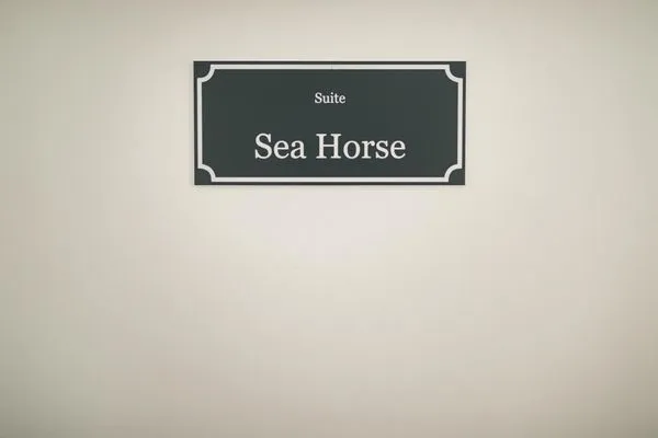   Sea Horse