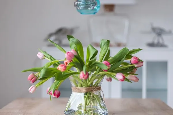   Villa Baltic Strandstern