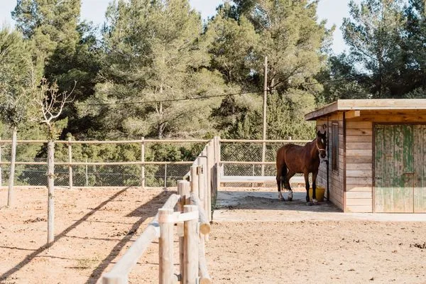   Villa Can Aris