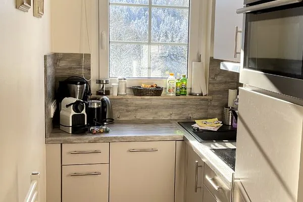 Küche / Küchenzeile Bocksberg Blick Haus 1 Bergblick